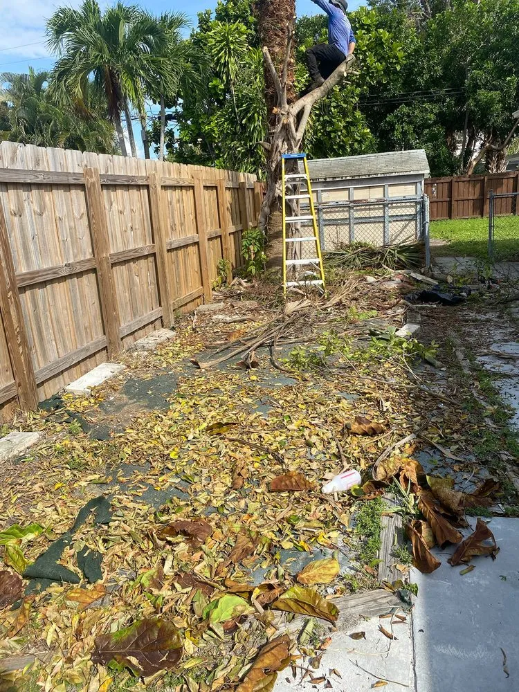 Reliable garden landscaping experts serving Lantana, FL - Andres Lawn care