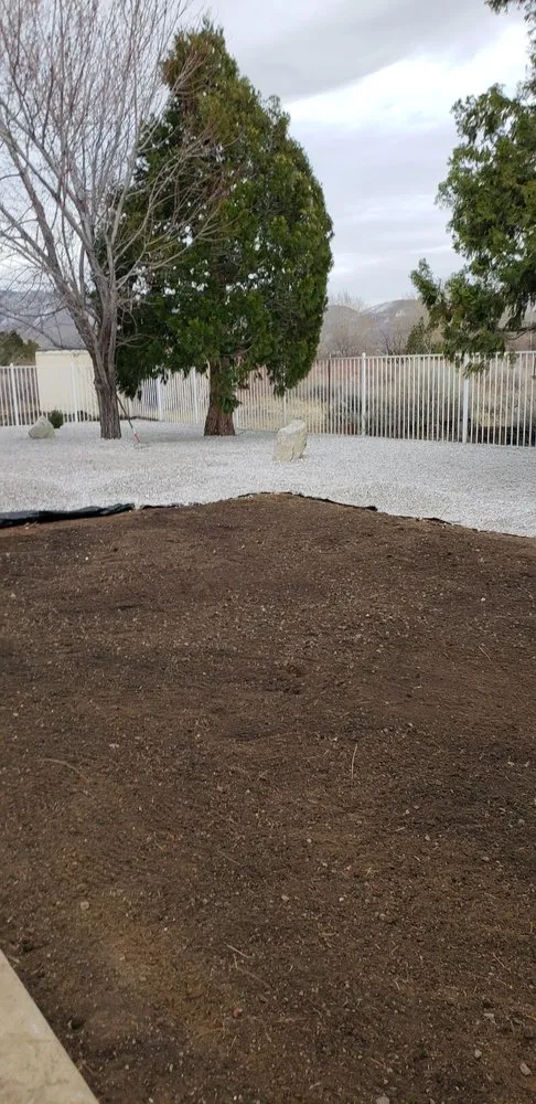 Reliable lawn mowing service in Carson City, NV by Andres Lawn Service