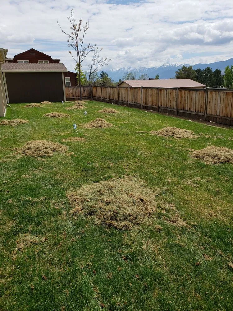 Affordable outdoor landscaping in Carson City, NV - Andres Lawn Service