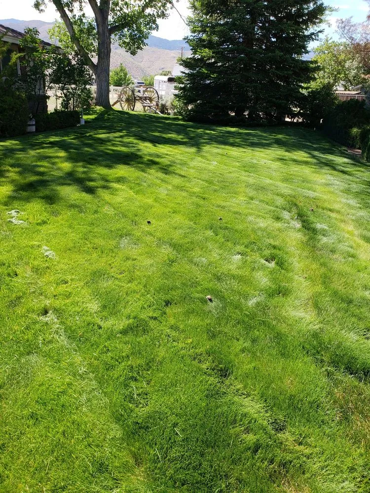 Top-rated garden landscaping in Carson City, NV - Andres Lawn Service