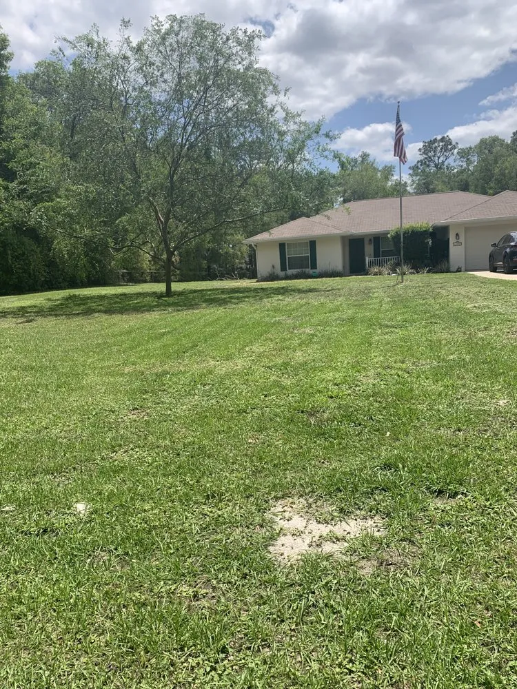 Professional residential landscaping experts serving Dunnellon, FL - Andre’s Lawncare