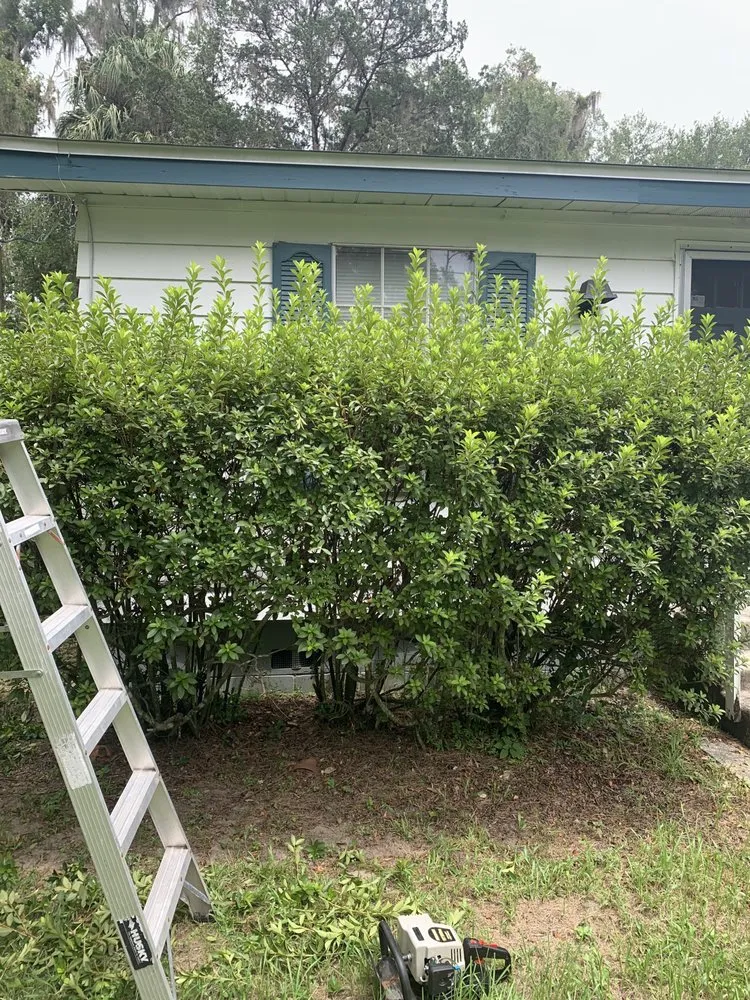 Expert yard maintenance in Dunnellon, FL by Andre’s Lawncare