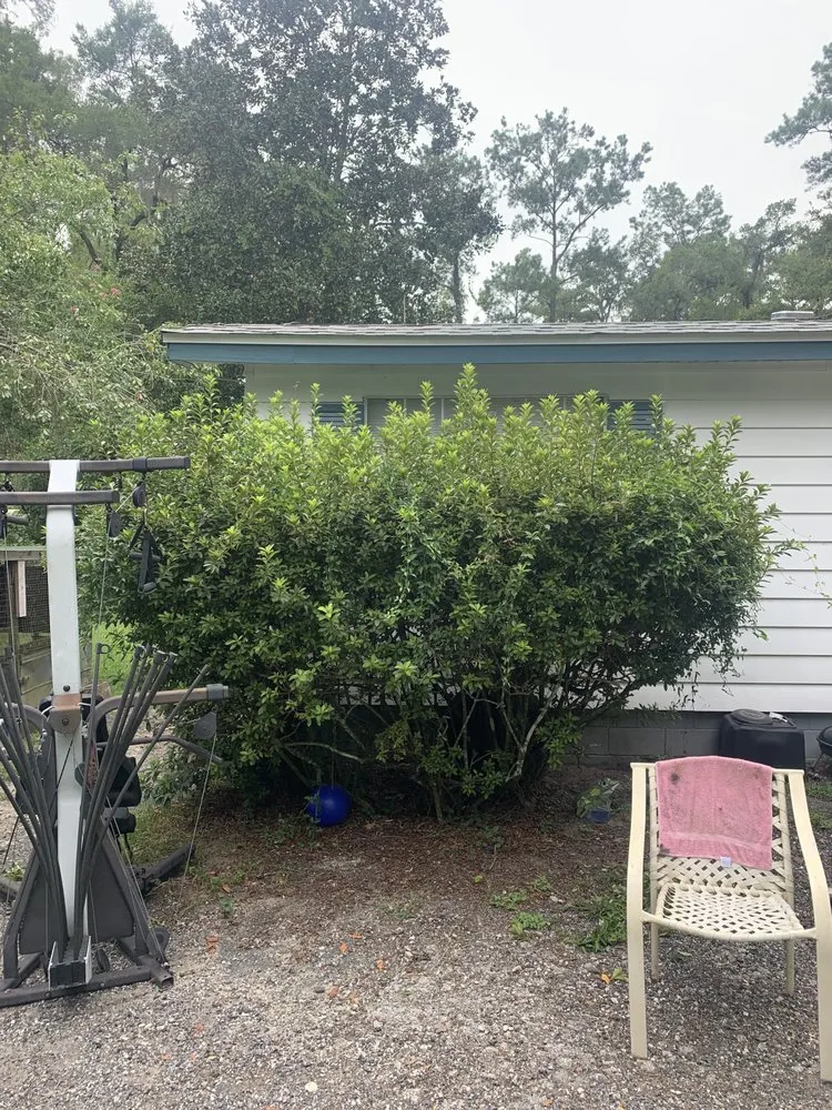 Custom residential landscaping in Dunnellon, FL by Andre’s Lawncare