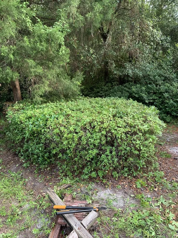 Top-rated residential landscaping in Dunnellon, FL - Andre’s Lawncare