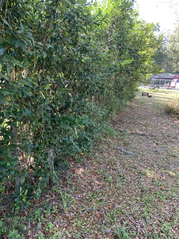 Custom landscape design for year-round maintenance across Dunnellon, FL - Andre’s Lawncare