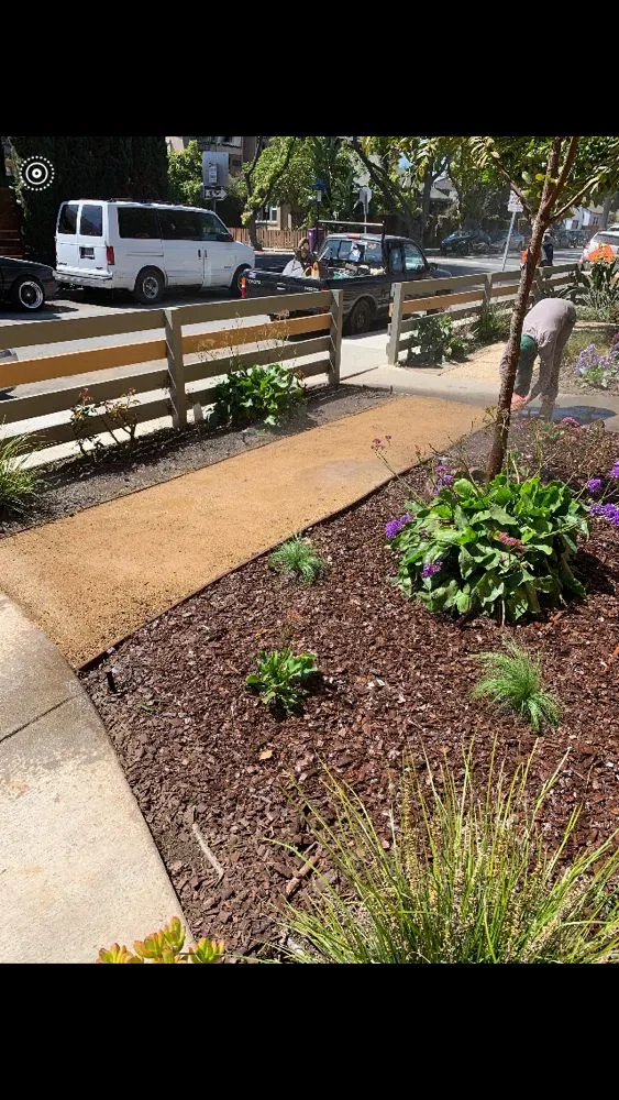 Custom outdoor landscaping in Long Beach, CA - Andres Mederos Landscape & Landcare