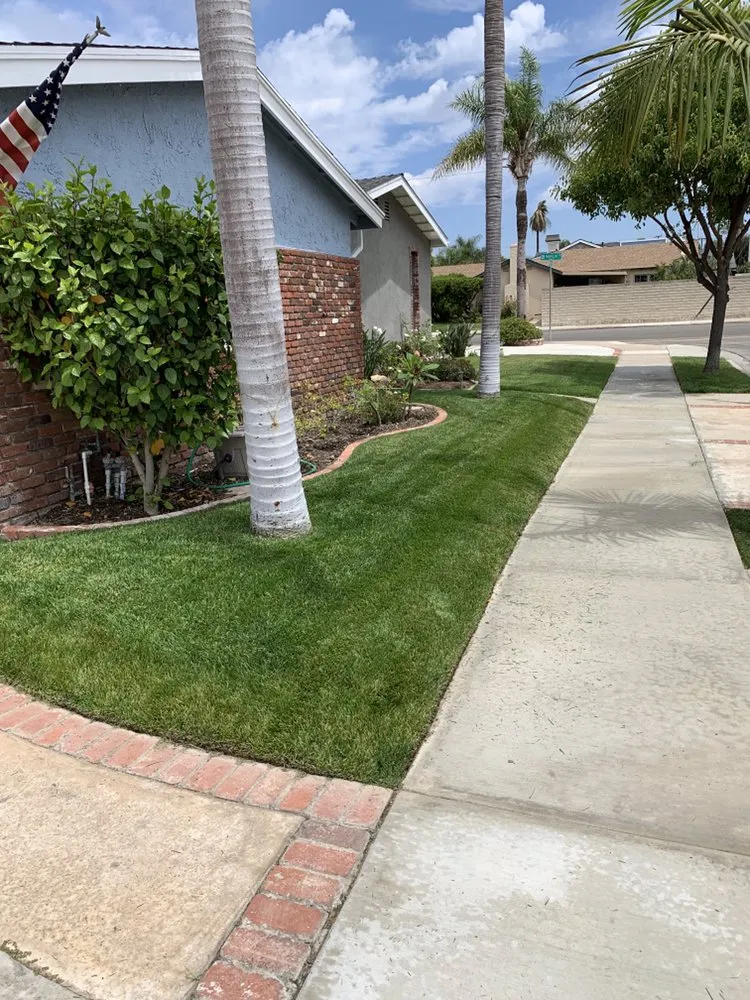 Professional landscape installation for residential properties in Long Beach, CA by Andres Mederos Landscape & Landcare