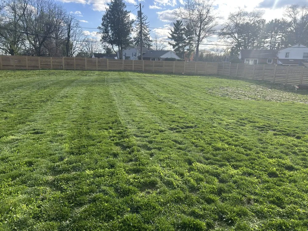 Custom yard maintenance in Andalusia, PA by Andrew Aj Lawn Service