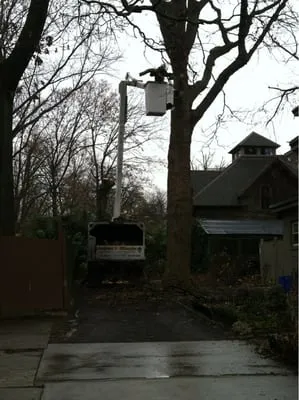 Andrew F. Gillespie Tree Service, Landscape Design & Install Logo