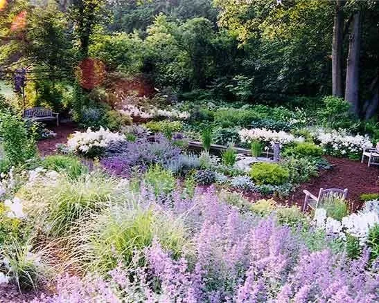 Expert landscaping services for outdoor upgrades across Seekonk, MA - Andrew Grossman Landscape Design