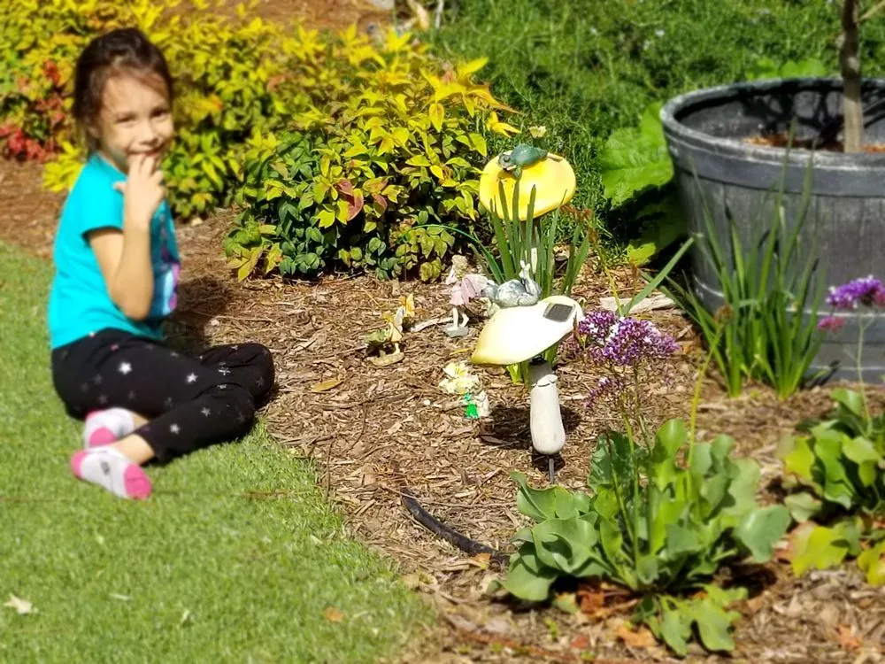 Reliable yard maintenance in Riverside, CA by Andrew Landscape Construction