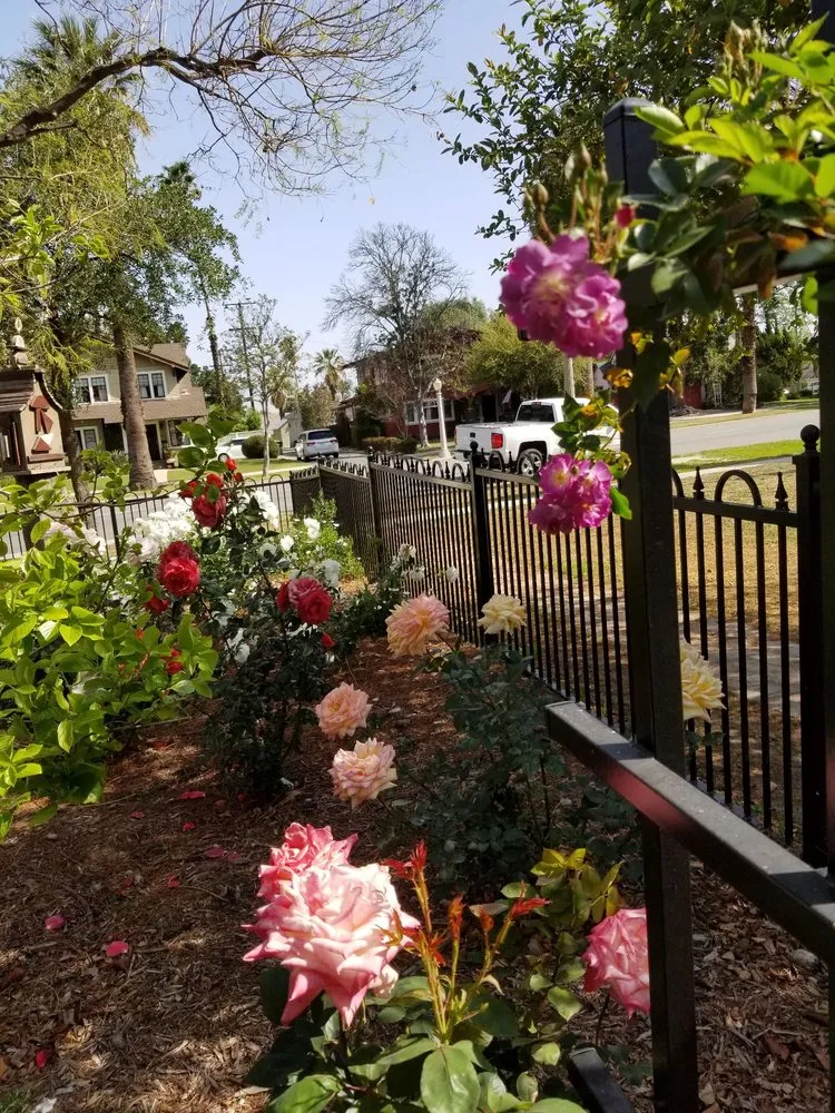 Custom landscape installation in Riverside, CA - Andrew Landscape Construction