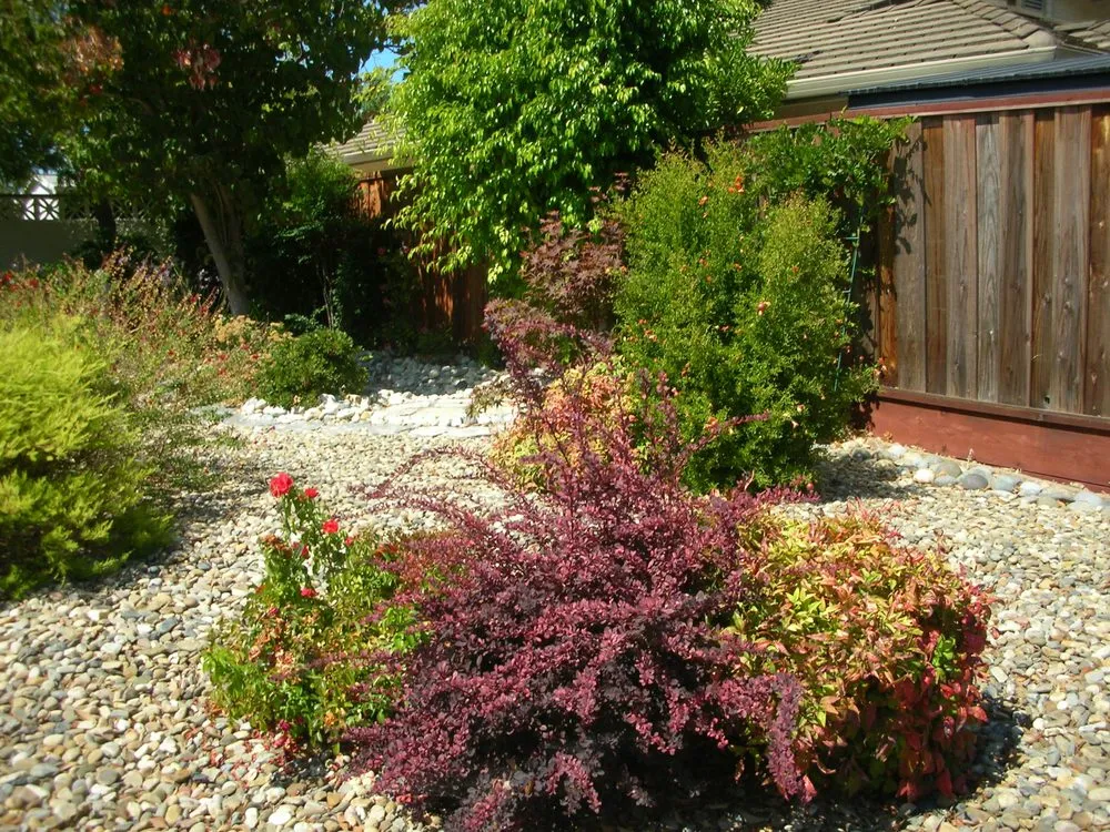 Reliable yard cleanup service with custom design in Vallejo, CA by Andrew Landscaping Service