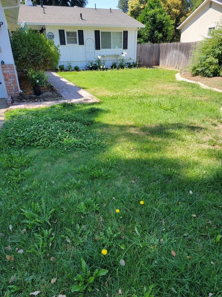 Custom outdoor landscaping experts serving Vallejo, CA - Andrew Landscaping Service