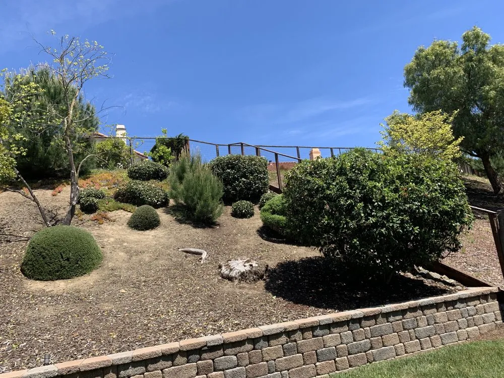 Custom landscape design in Vallejo, CA - Andrew Landscaping Service