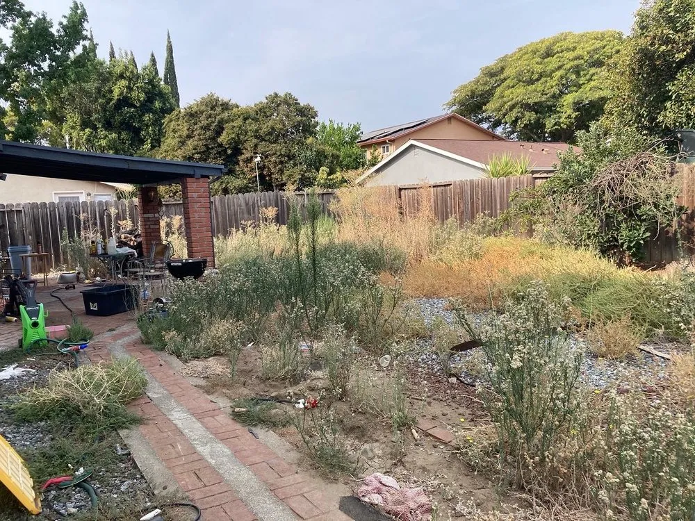 Trusted yard maintenance in Vallejo, CA - Andrew Landscaping Service