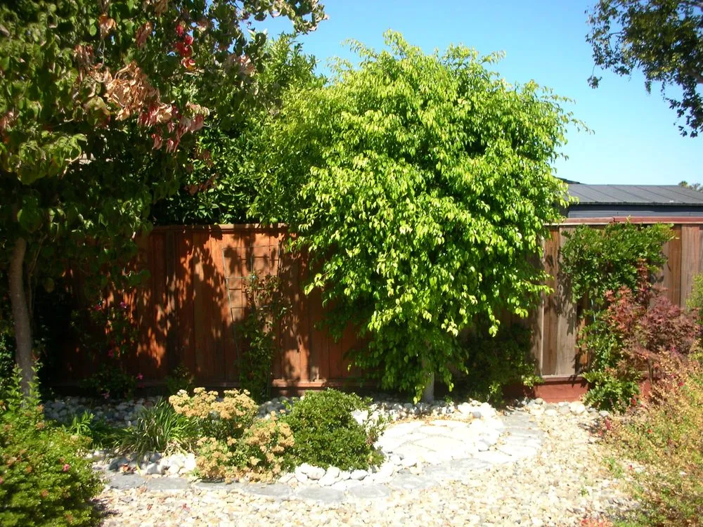 Professional landscape design for year-round maintenance in Vallejo, CA by Andrew Landscaping Service