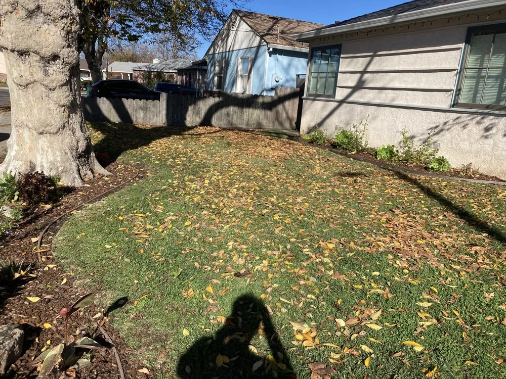 Local landscape installation for homes in Vallejo, CA by Andrew Landscaping Service