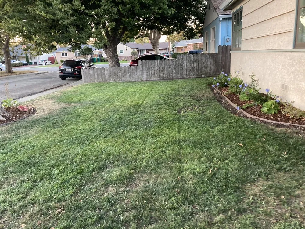 Reliable lawn care service in Vallejo, CA by Andrew Landscaping Service