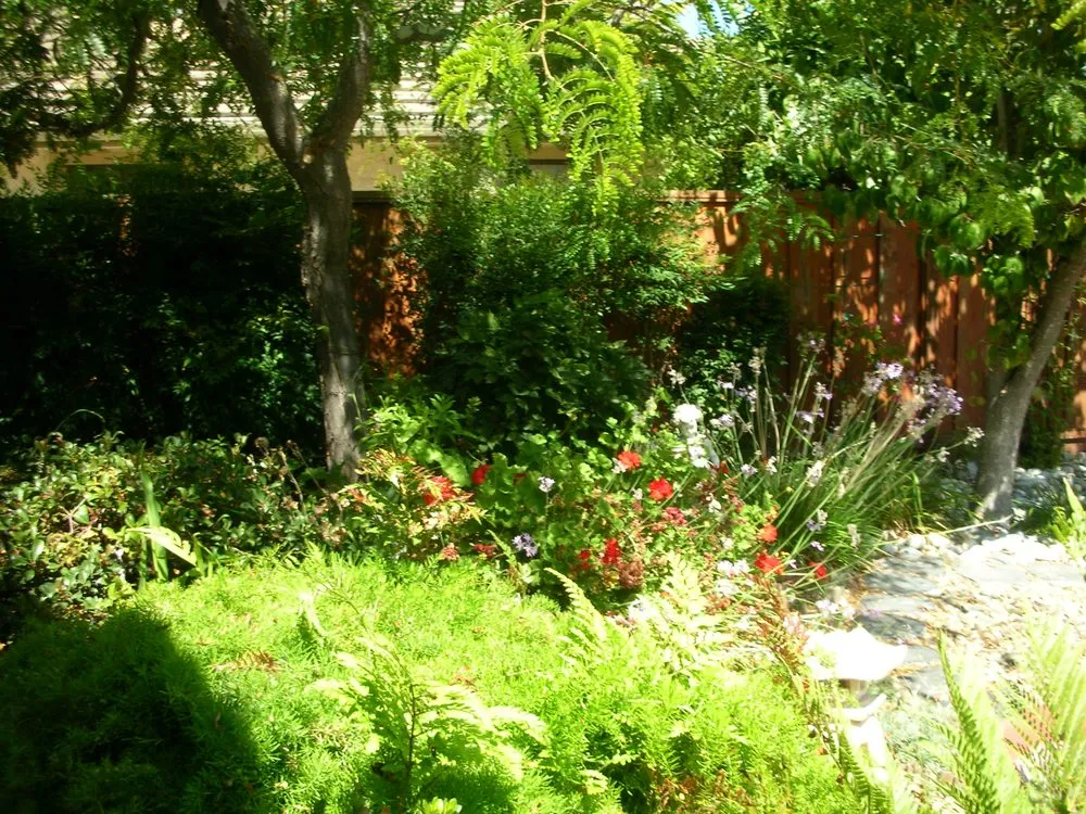 Custom landscape design in Vallejo, CA by Andrew Landscaping Service