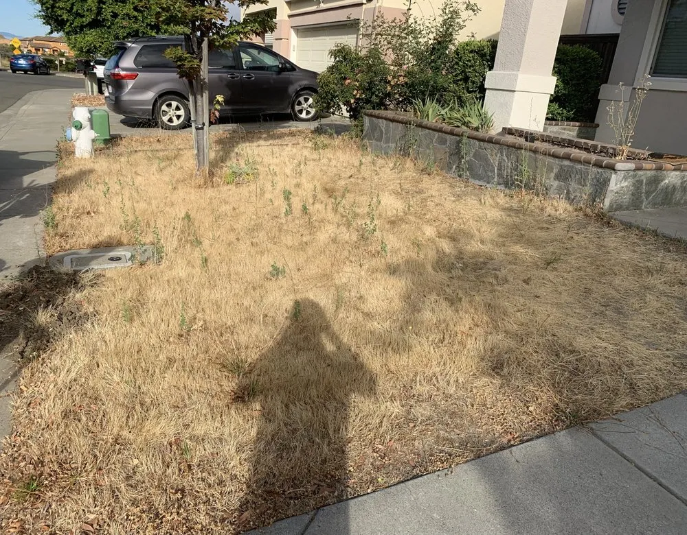 Top-rated lawn care service in Vallejo, CA by Andrew Landscaping Service