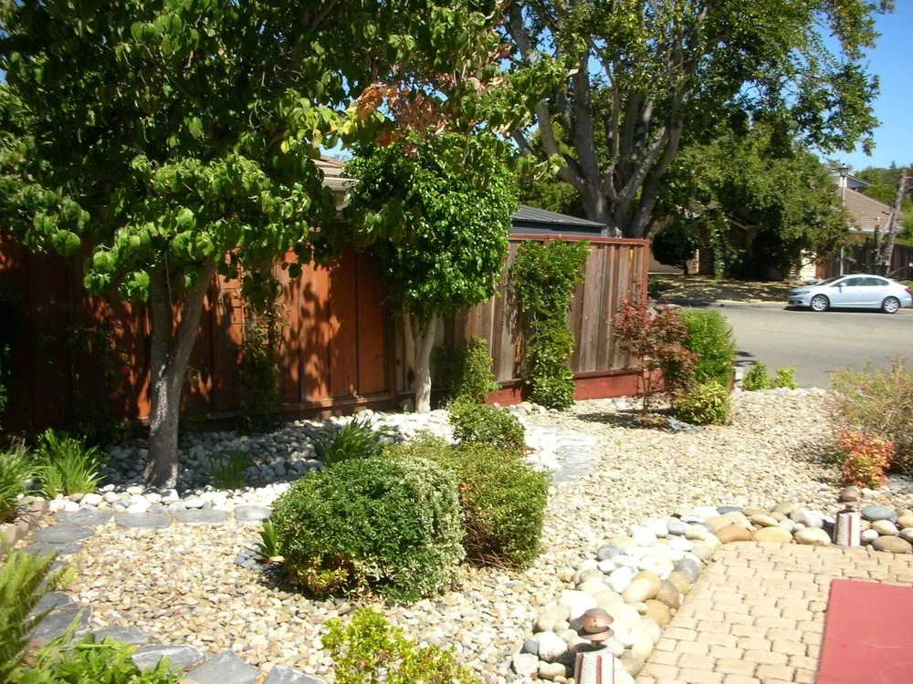 Trusted yard maintenance in Vallejo, CA - Andrew Landscaping Service