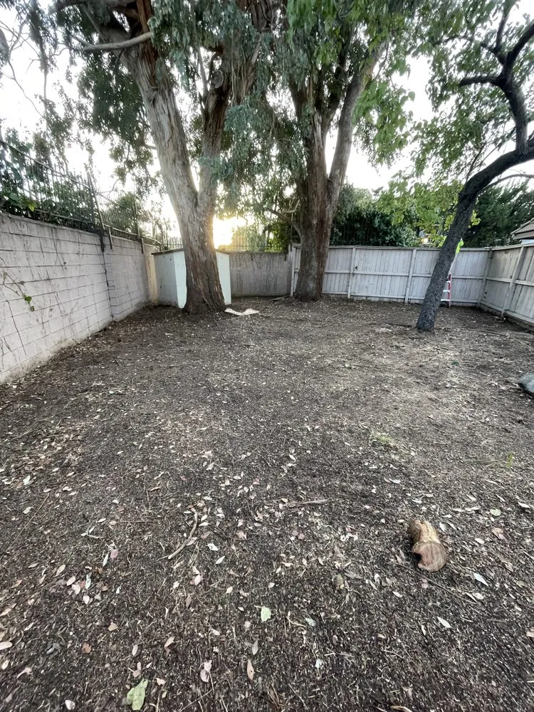 Custom lawn mowing service with custom design in Vallejo, CA by Andrew Landscaping Service