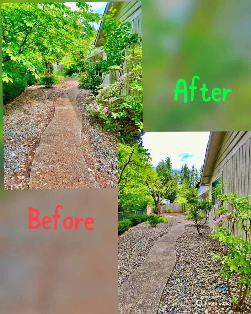 Custom yard cleanup service in Shelton, WA by Andrew Landscaping
