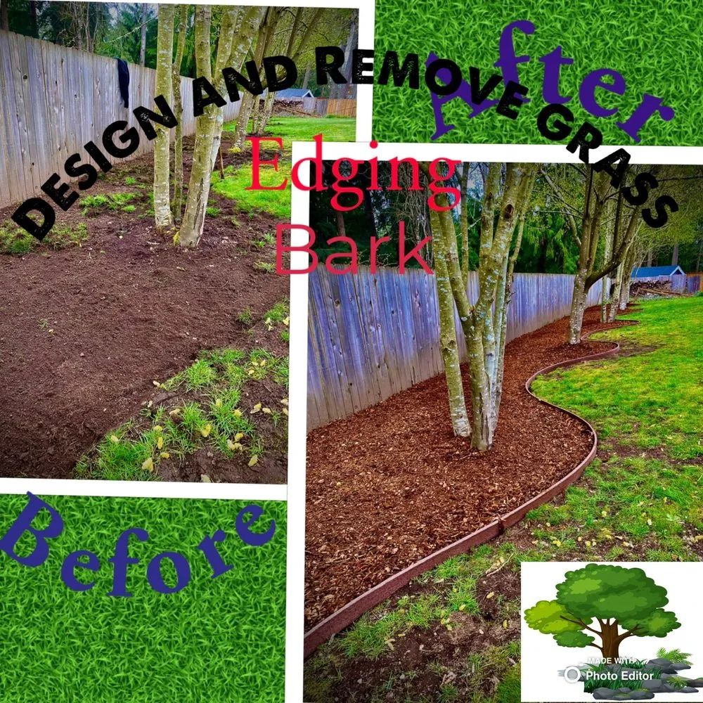 Professional yard cleanup service experts serving Shelton, WA - Andrew Landscaping