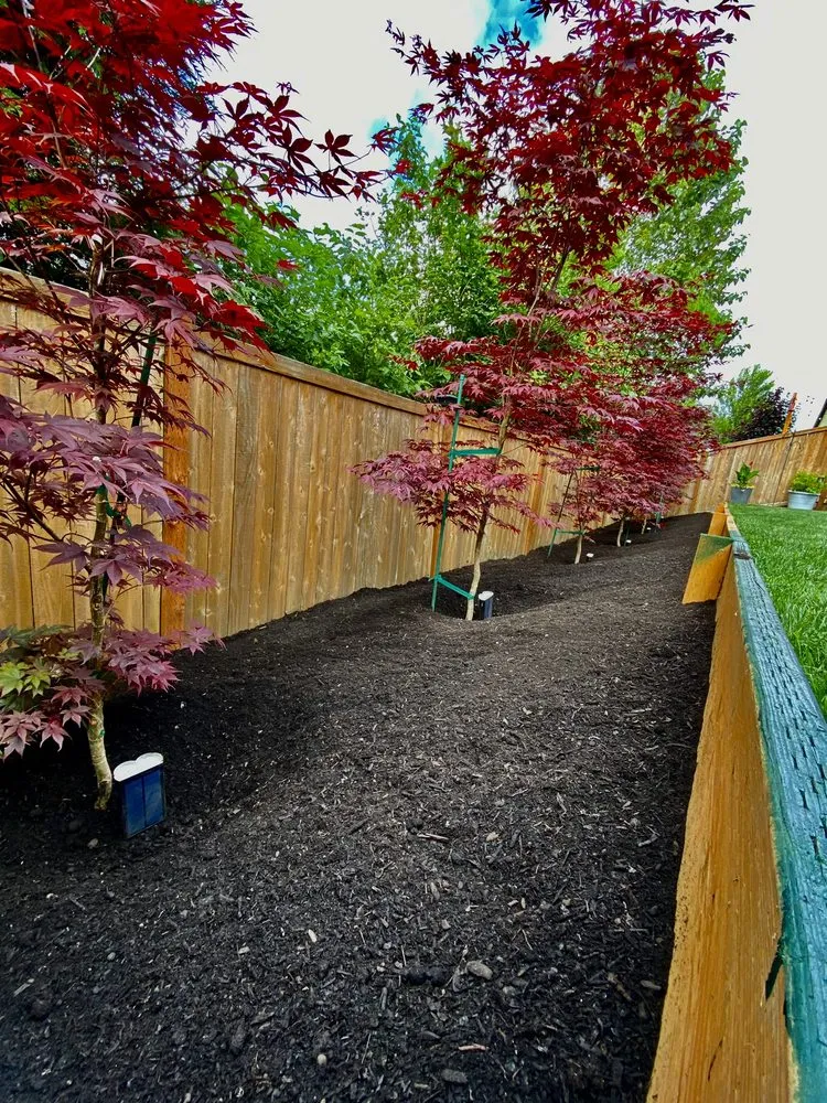 Top-rated lawn care service for year-round maintenance in Shelton, WA by Andrew Landscaping