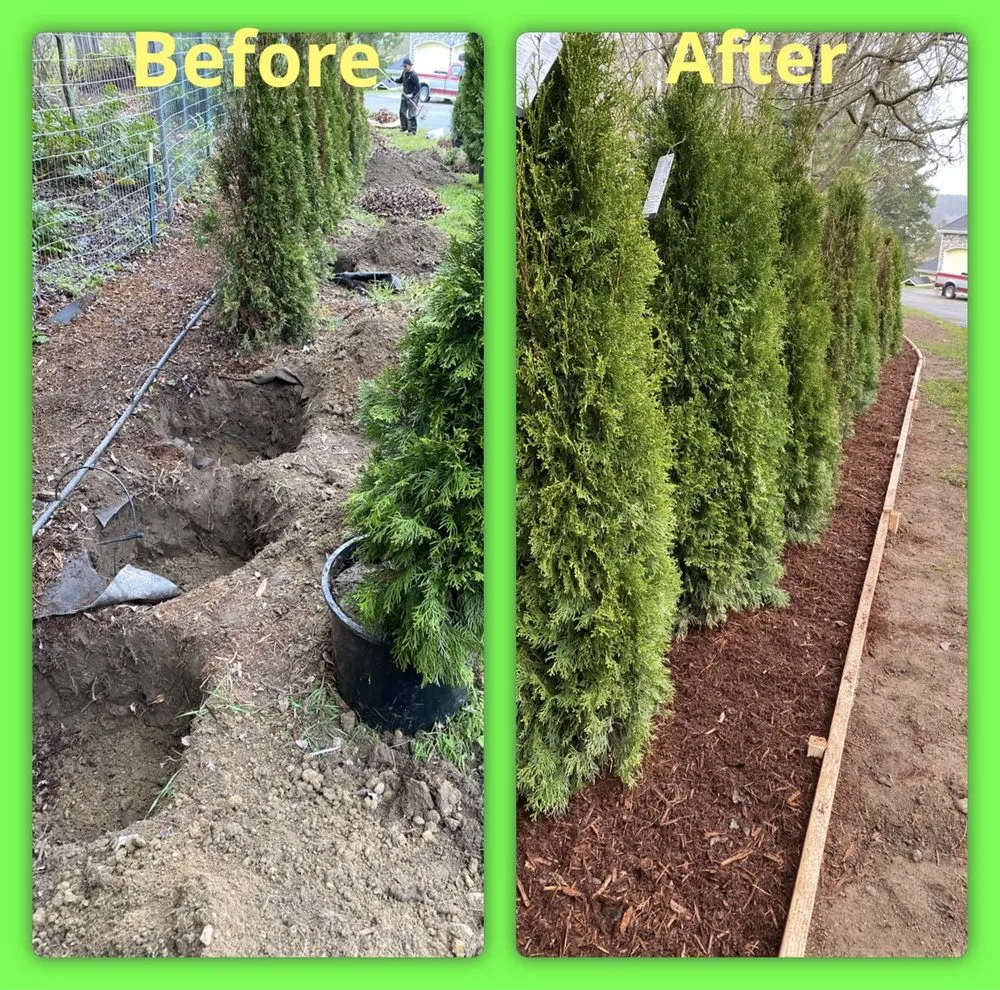 Expert landscape installation near you across Shelton, WA - Andrew Landscaping