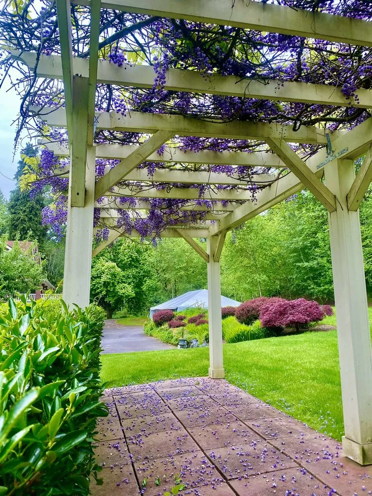 Reliable landscape installation in Shelton, WA - Andrew Landscaping