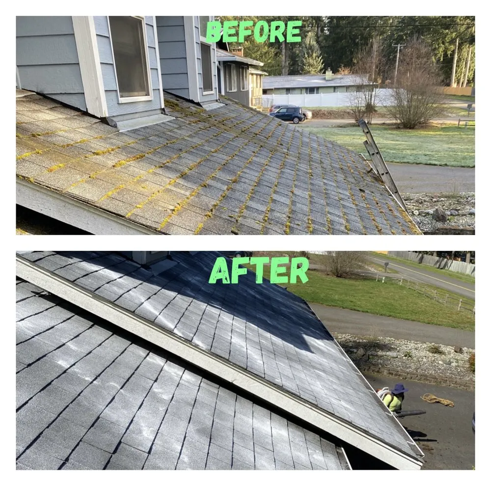 Trusted landscaping services near you across Shelton, WA - Andrew Landscaping