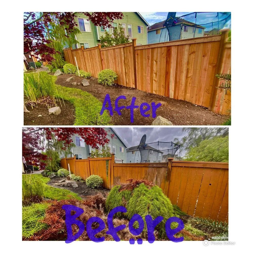 Trusted landscaping services for beautiful yards across Shelton, WA - Andrew Landscaping