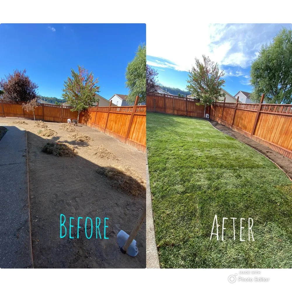 Affordable landscape installation experts serving Shelton, WA - Andrew Landscaping