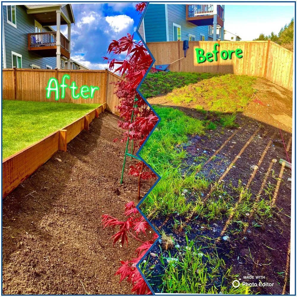 Top-rated residential landscaping for outdoor upgrades in Shelton, WA by Andrew Landscaping