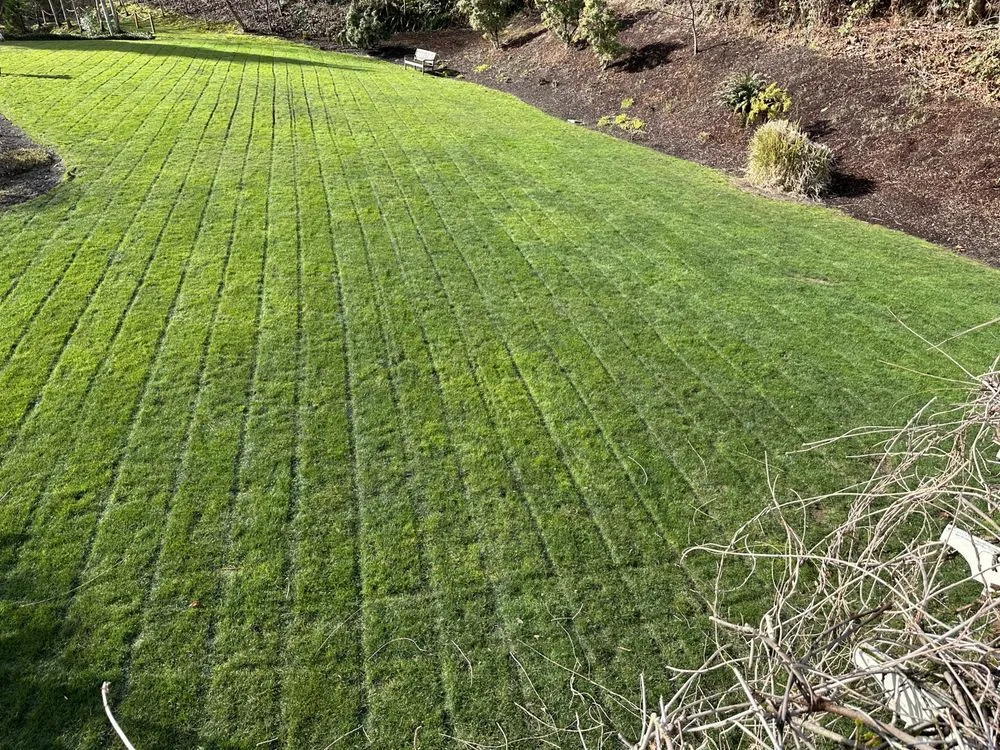 Local residential landscaping in Shelton, WA - Andrew Landscaping