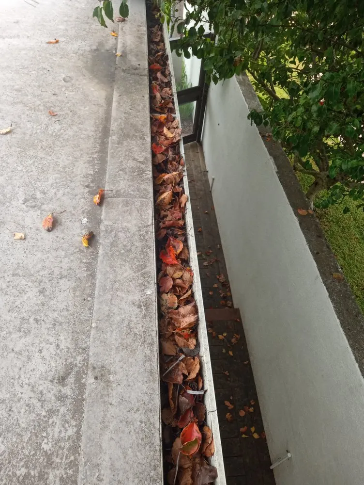 Affordable lawn mowing service for year-round maintenance across Santa Barbara, CA - Andrew Maintenance Services