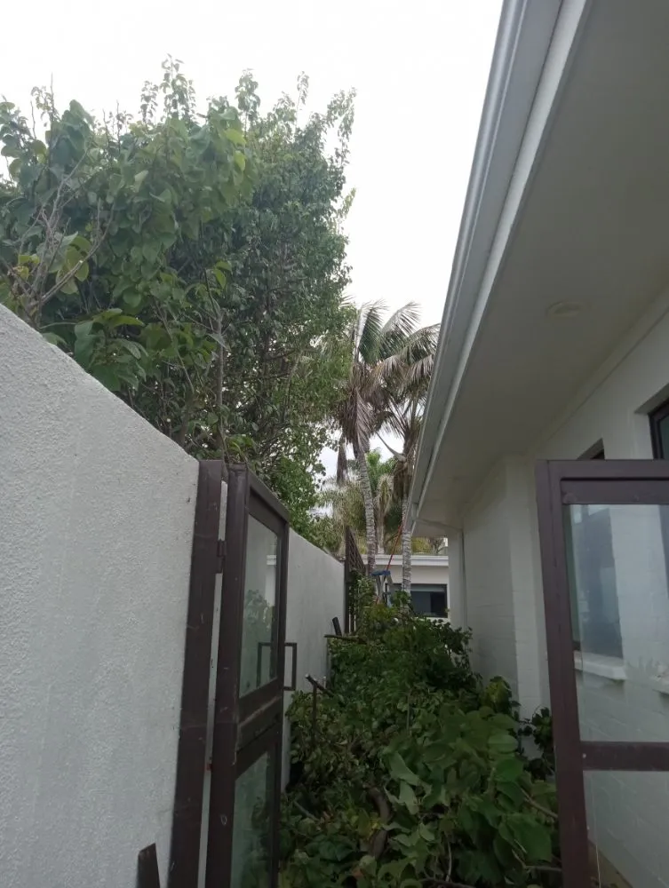 Top-rated outdoor landscaping experts serving Santa Barbara, CA - Andrew Maintenance Services