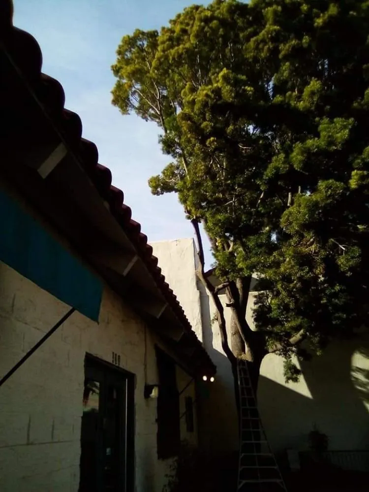 Trusted garden landscaping experts serving Santa Barbara, CA - Andrew Maintenance Services