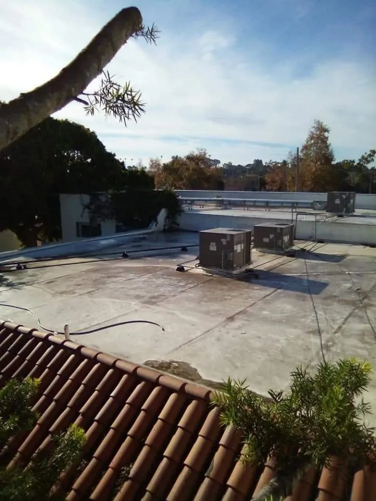 Local yard cleanup service experts serving Santa Barbara, CA - Andrew Maintenance Services