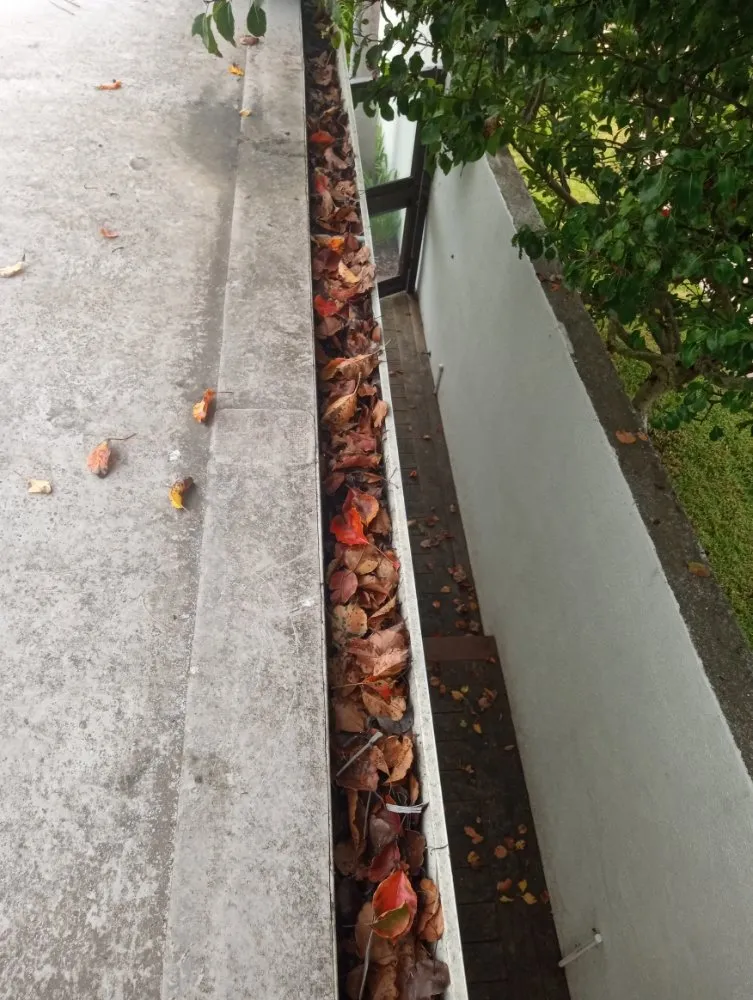 Professional lawn care service with custom design across Santa Barbara, CA - Andrew Maintenance Services