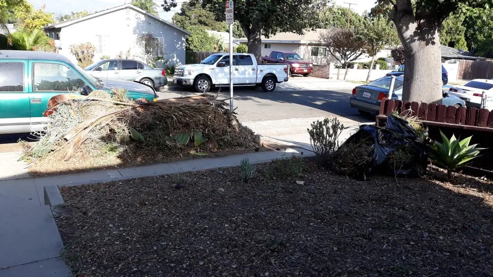 Trusted yard cleanup service in Santa Barbara, CA - Andrew Maintenance Services