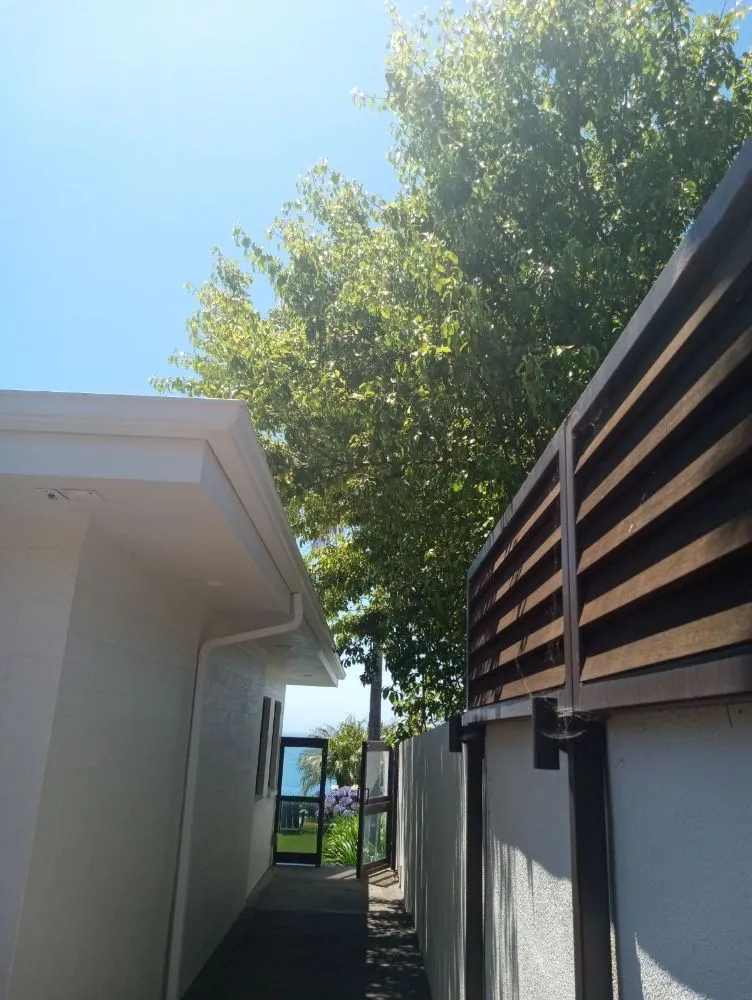 Expert yard cleanup service in Santa Barbara, CA by Andrew Maintenance Services