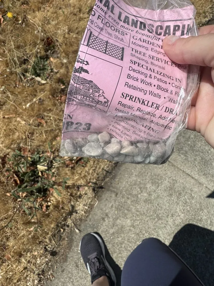 Affordable landscape installation in Union City, CA - Andrew Nguyen Landscaping