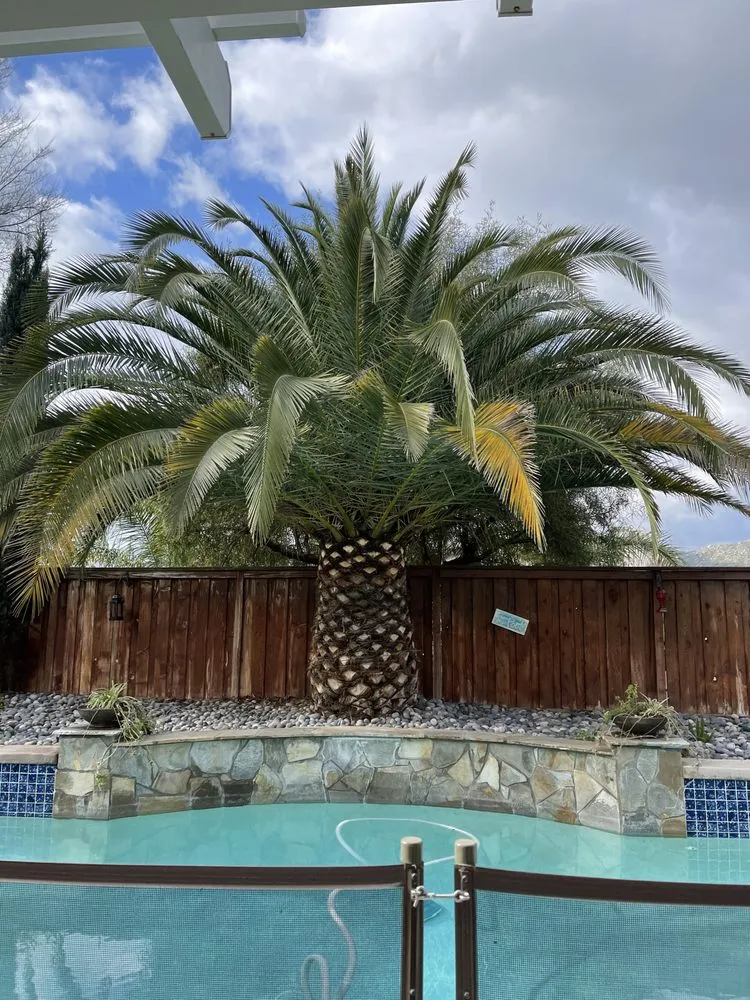 Affordable landscape installation for homes across Riverside, CA - Andrew Tree Service