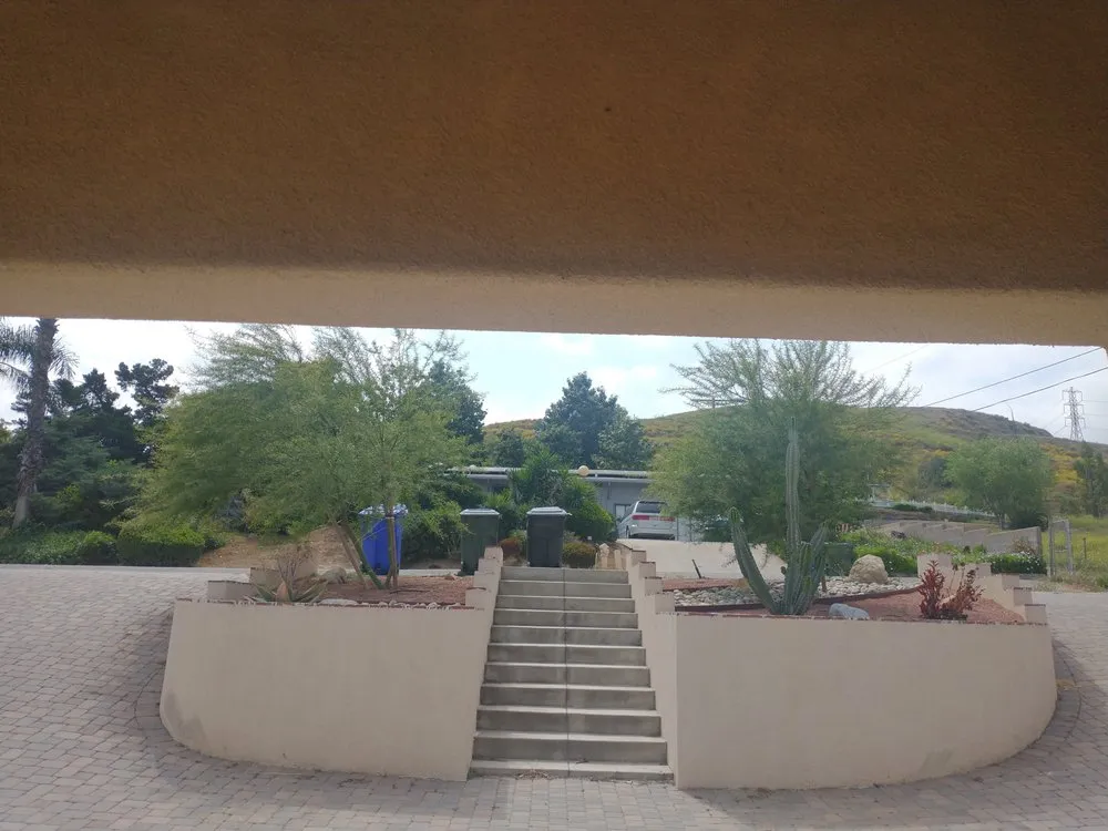 Affordable yard cleanup service in Riverside, CA by Andrew Tree Service