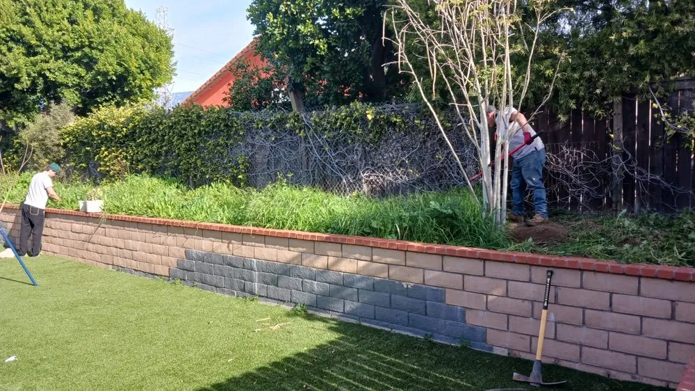 Local residential landscaping in Riverside, CA - Andrew Tree Service