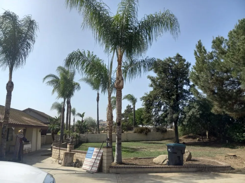 Professional landscaping services for outdoor upgrades across Riverside, CA - Andrew Tree Service