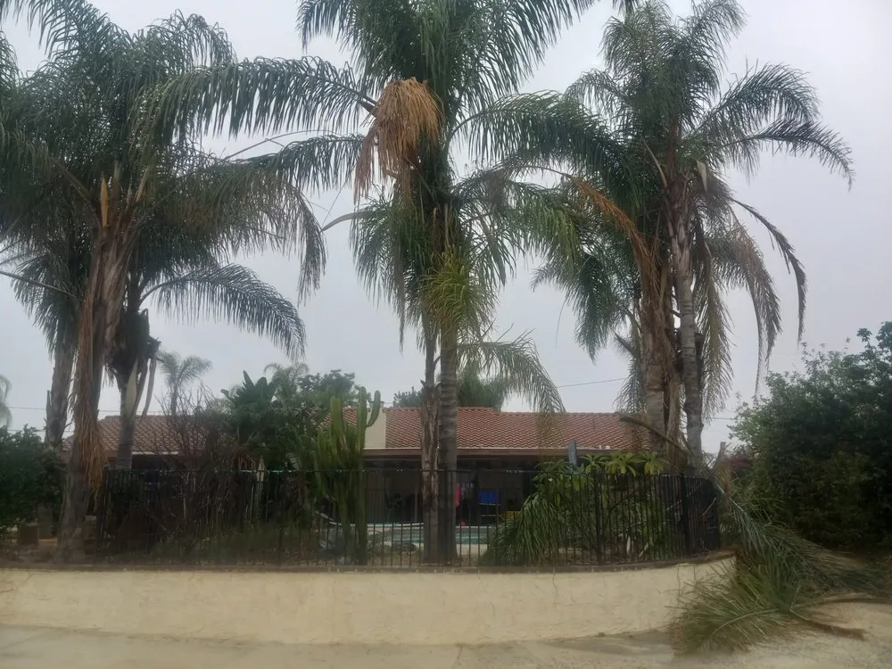 Trusted garden landscaping for outdoor upgrades across Riverside, CA - Andrew Tree Service